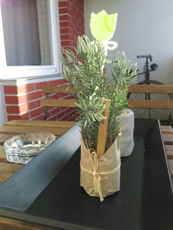 Studio Apartman Zdral Daruvar Luaran gambar